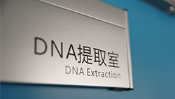 德阳DNA鉴定收费多少钱，德阳亲子鉴定办理流程