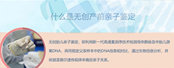 德阳产前亲子鉴定程序是什么，德阳产前亲子鉴定结果需要多久